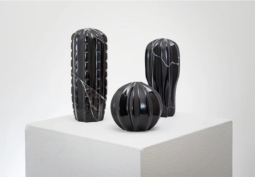 Black Marble Cactus
