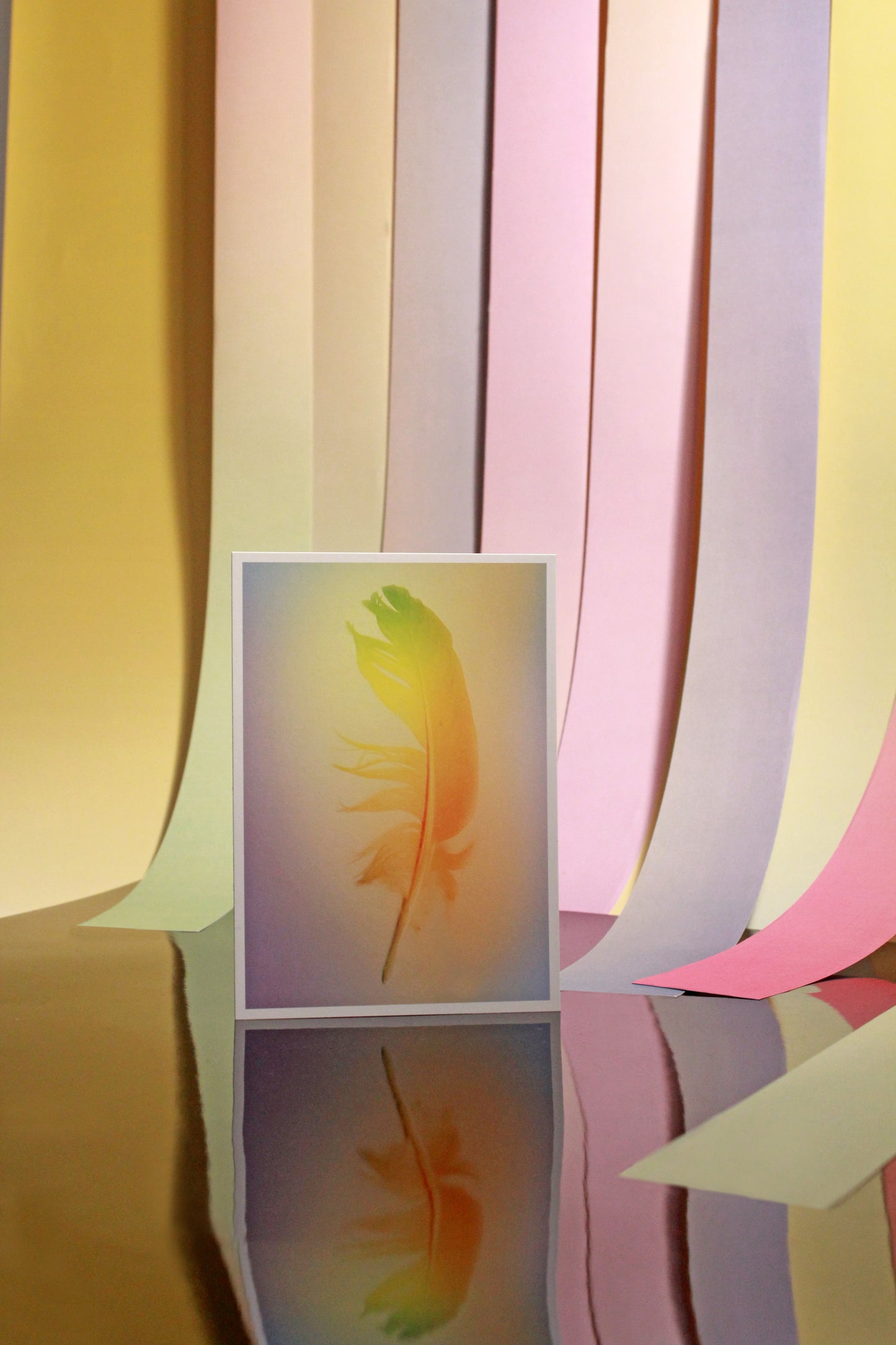 POSTCARDS (SET OF 5) GRADIENT FEATHER