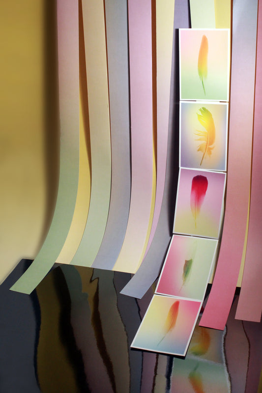 POSTCARDS (SET OF 5) GRADIENT FEATHER